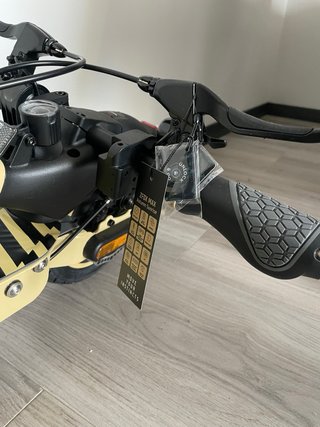 Patinete ZWHEEL ZFOX MAX Autumn