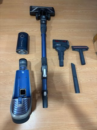 Rowenta X-force Flex Aspirador