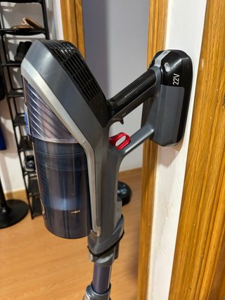 Rowenta X-force Flex Aspirador