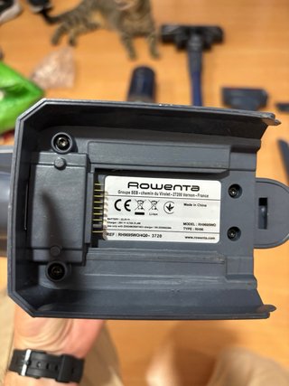 Rowenta X-force Flex Aspirador