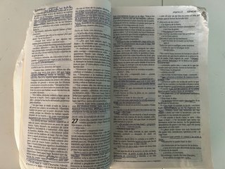 Biblia Vida Abundante NTV – Nueva Traducción Vivie