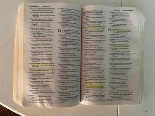 Biblia Vida Abundante NTV – Nueva Traducción Vivie