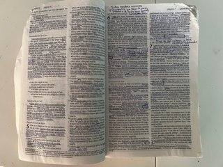 Biblia Vida Abundante NTV – Nueva Traducción Vivie