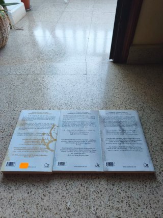 La princesa de papel