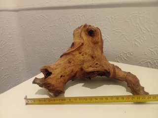 Raíz de Pera para Acuario