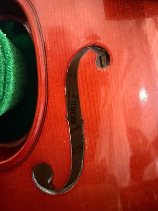 Violín 4/4 completo + estuche rígido, sin cuerdas.