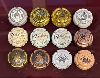 Chapas de Cava Valldosera