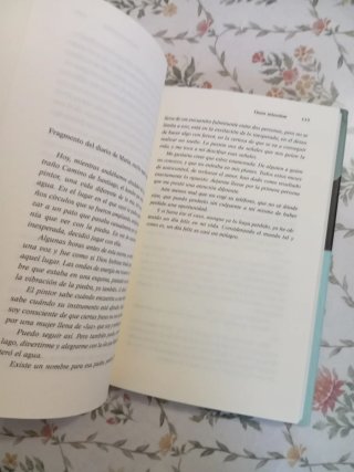Once Minutos Una Novela