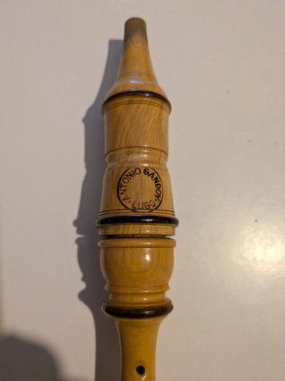 Punteiro de buxo en DO Antonio Gandoy