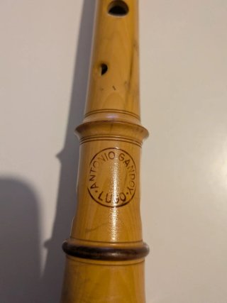 Punteiro de buxo en DO Antonio Gandoy