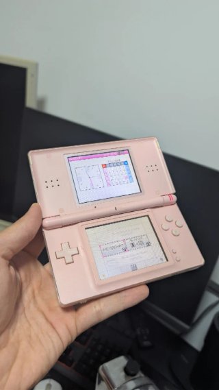 Nintendo DS Lite Rosa - Cerniera allentata