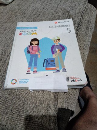 MATEMATIQUES 5 (COMUNITAT ZOOM)
