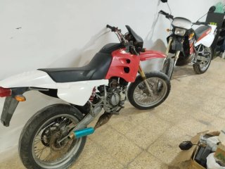 Derbi Senda Año 99 sm