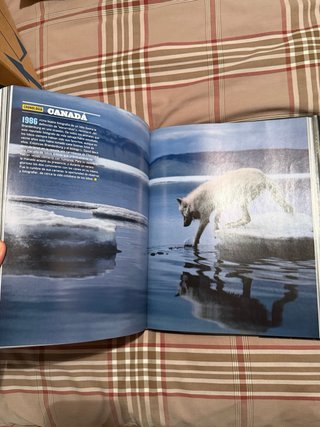 National Geographic, 125 años fotografías, aven...