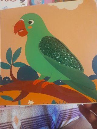 Mascotas