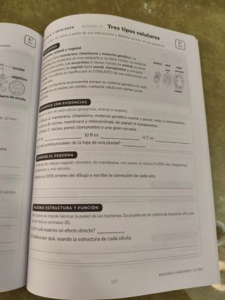 Todo en Uno 2.º ESO. Cuaderno de refuerzo: Las ...