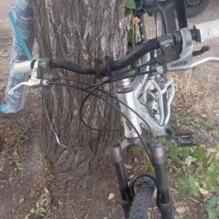 Bicicleta Montaña Orbea Belgian Malinois