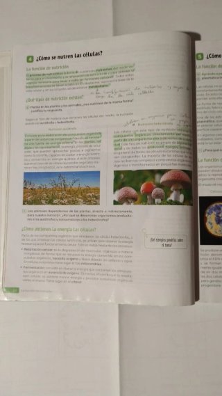 Biología y Geología Secundaria 4 Revuela