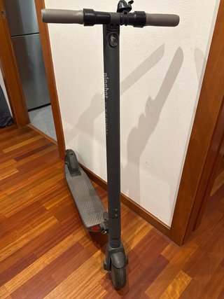 Patinete Eléctrico Ninebot Segway
