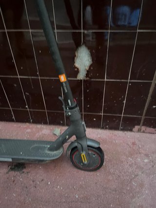Patinete Eléctrico Xiaomi Pro 2