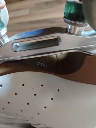 Patines EDEA Rondo 260 + Plancha Mistral Roll Line
