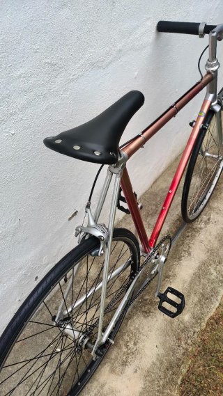 Bicicleta vitus 979