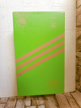 Zapatillas Adidas Stan Smith Kermit The Frog Caja