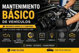 Mantenimiento esencial de vehículos a domicilio