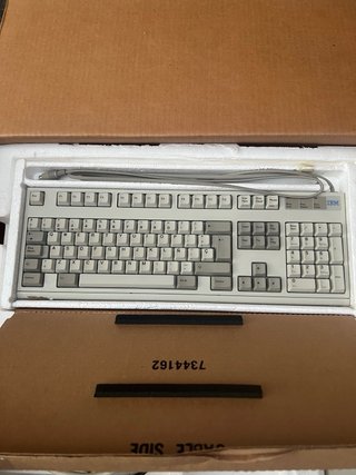 Computer IBM PS/1 Completo