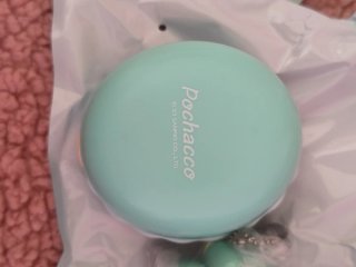 Miniso Sanrio Blind Box Pochacco Baby Series