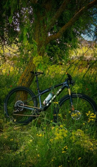 Trek Supercaliber 9.9 Impoluta Talla M