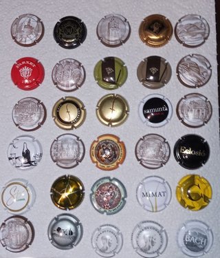 LOTE 30 PLACAS CAVA DISTINTAS