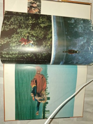 Libro Supergirl - Wendy Andrews