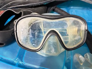 Máscara, Aletas y Snorkel Talla 42/43