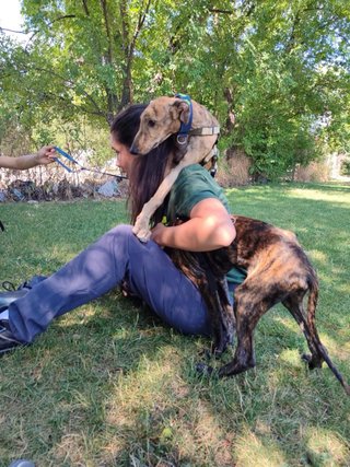 Profesional canina/Cuidado de perros en domicilio