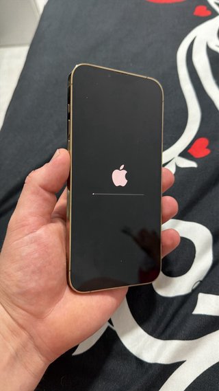 Iphone 13 pro max 128gb