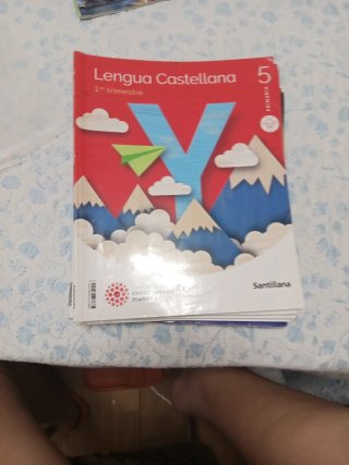 Libros 5 primaria