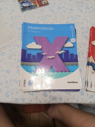 Libros 5 primaria