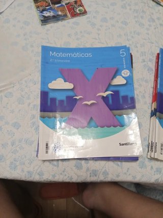 Libros 5 primaria