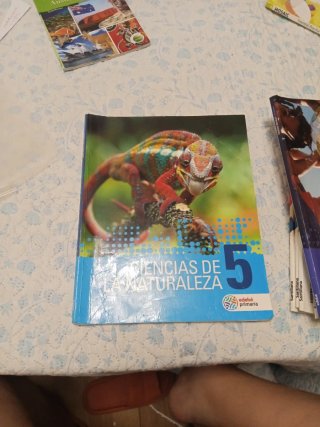 Libros 5 primaria