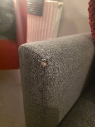Sofá cama gris con cojines rojos