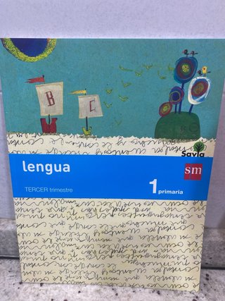 Lengua, letra a letra Savia SM 1 primaria
