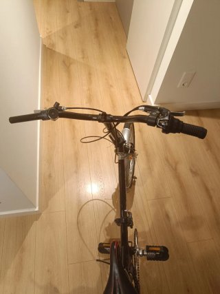 Bicicleta plegable Darwin