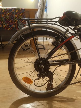 Bicicleta plegable Darwin