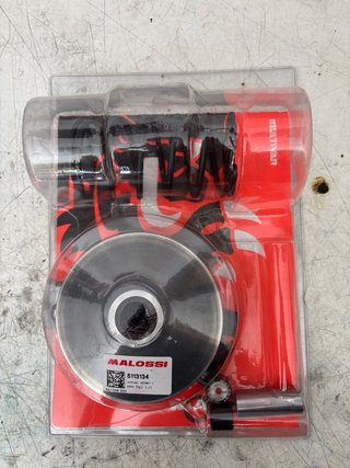 Variador Malossi Multivar Xmax 125
