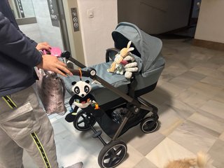 Carro Cybex convertible capazo/silleta