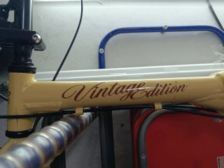 Bicicleta Paseo Vintage Edition 20