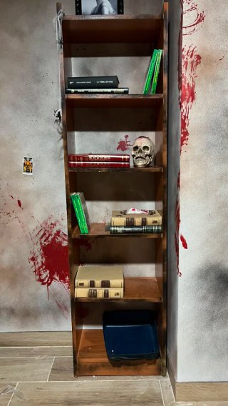 Muebles y estanterias antiguos.