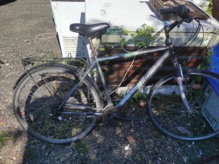 Bicicleta Miemo Gris