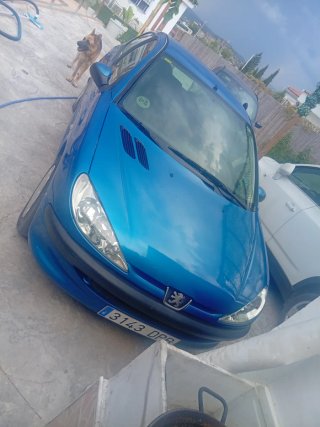 Peugeot 206 2005